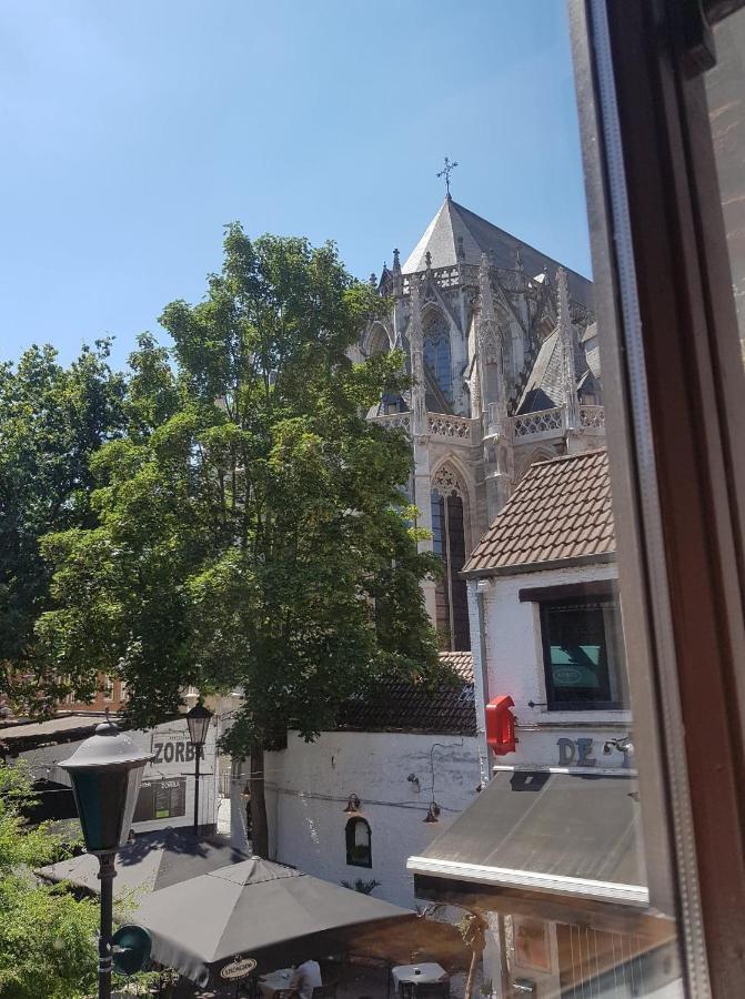 Al In Den Aap Gelogeerd? Daire Mechelen Dış mekan fotoğraf